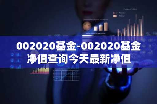 002020基金-002020基金净值查询今天最新净值