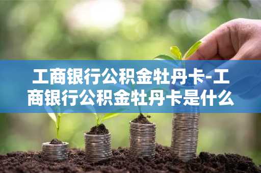 工商银行公积金牡丹卡-工商银行公积金牡丹卡是什么卡