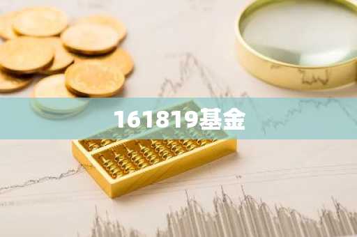 161819基金