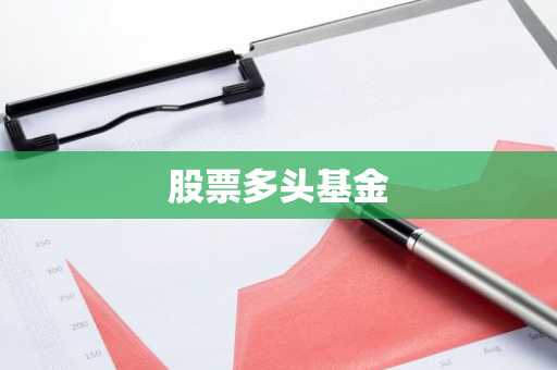 股票多头基金