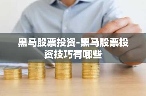 黑马股票投资-黑马股票投资技巧有哪些