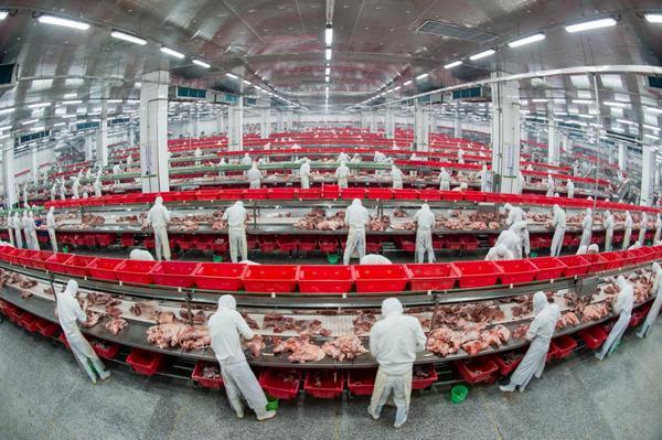 让吃肉更放心！金锣用AI和溯源守护你的每一口美味