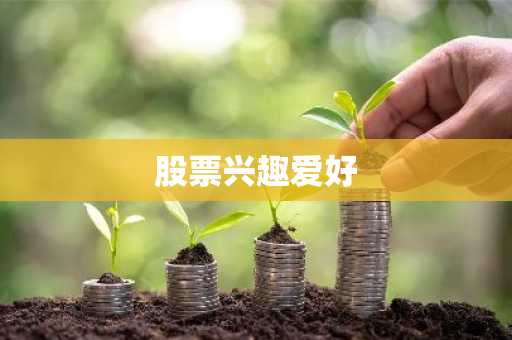 股票兴趣爱好
