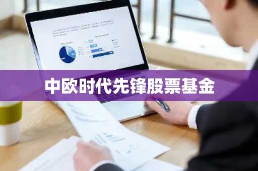 中欧时代先锋股票基金