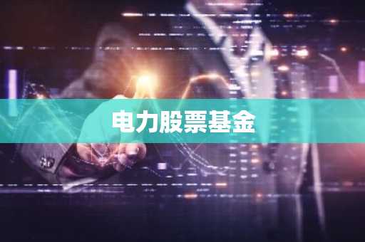 电力股票基金