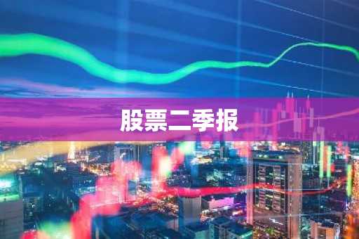 股票二季报
