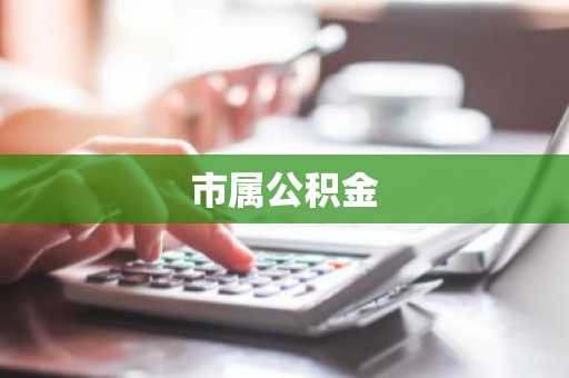 市属公积金
