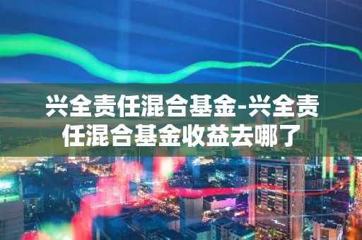 兴全责任混合基金-兴全责任混合基金收益去哪了