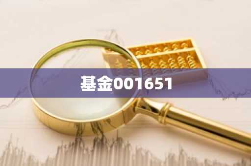 基金001651