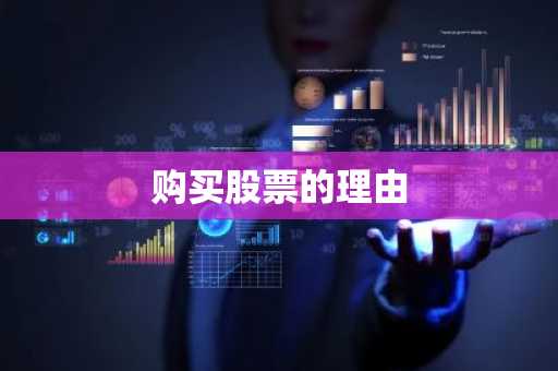 购买股票的理由