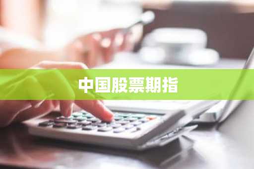中国股票期指