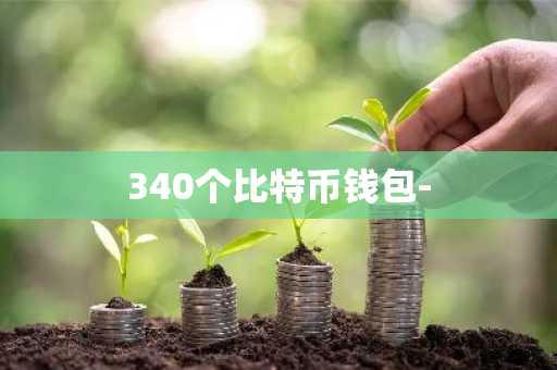 340个比特币钱包-