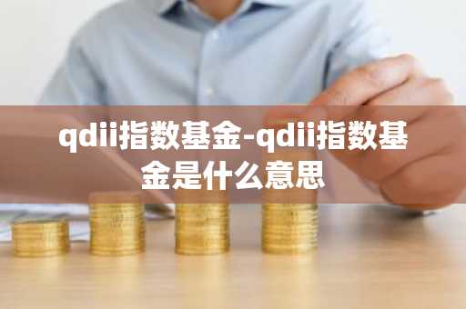 qdii指数基金-qdii指数基金是什么意思