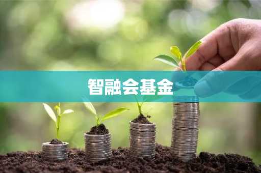 智融会基金