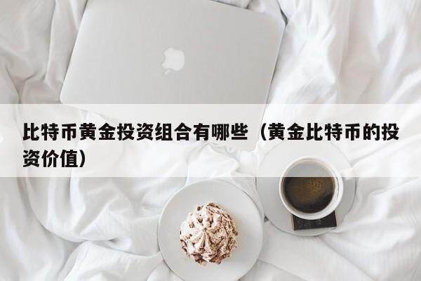 比特币黄金投资组合有哪些(黄金比特币的投资价值)