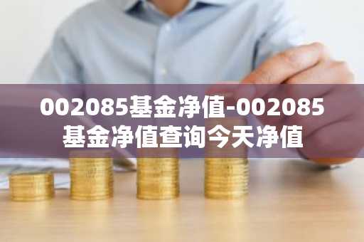002085基金净值-002085基金净值查询今天净值