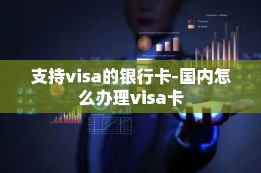 支持visa的银行卡-国内怎么办理visa卡