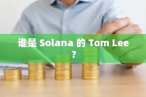 谁是 Solana 的 Tom Lee？