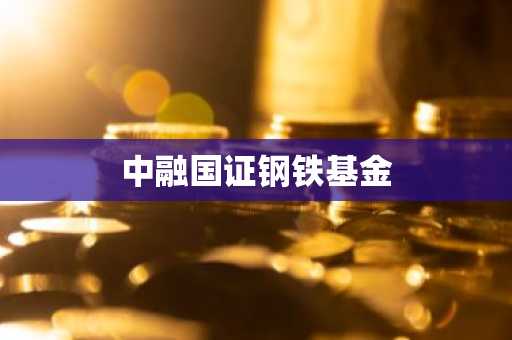 中融国证钢铁基金