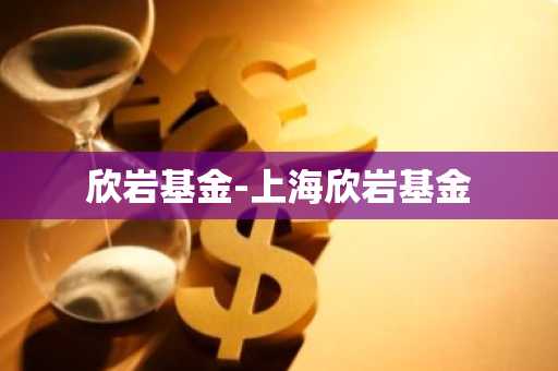 欣岩基金-上海欣岩基金