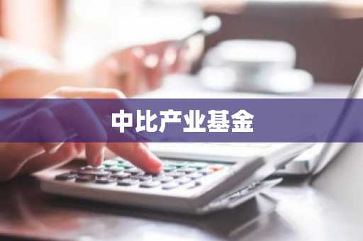 中比产业基金