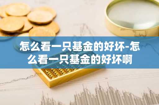 怎么看一只基金的好坏-怎么看一只基金的好坏啊
