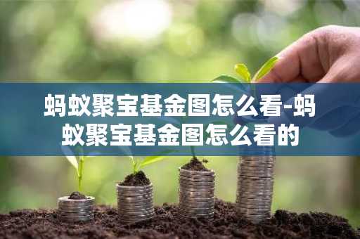 蚂蚁聚宝基金图怎么看-蚂蚁聚宝基金图怎么看的