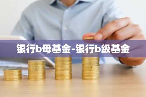 银行b母基金-银行b级基金