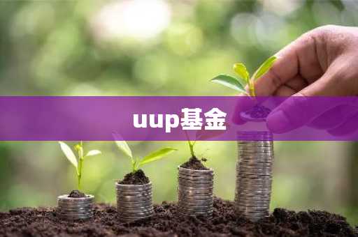 uup基金