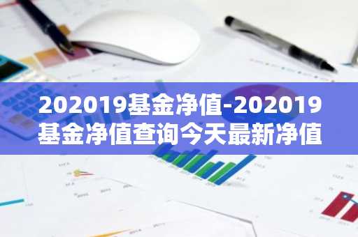 202019基金净值-202019基金净值查询今天最新净值