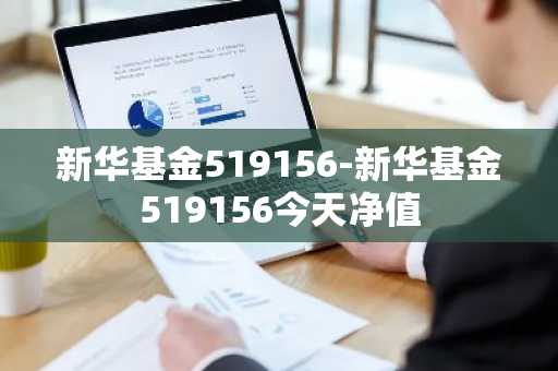 新华基金519156-新华基金519156今天净值