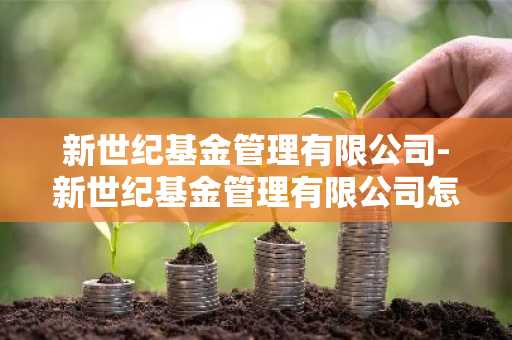 新世纪基金管理有限公司-新世纪基金管理有限公司怎么样