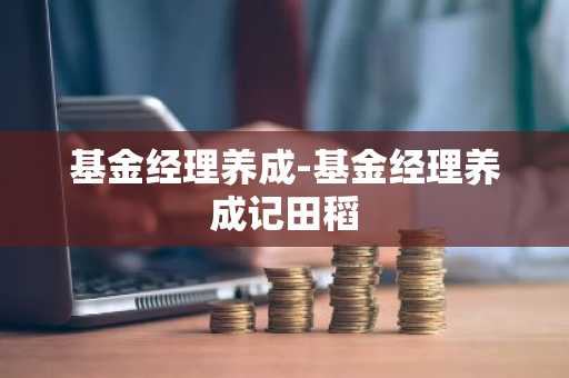 基金经理养成-基金经理养成记田稻