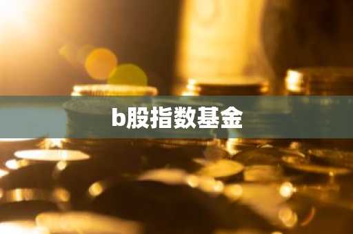 b股指数基金
