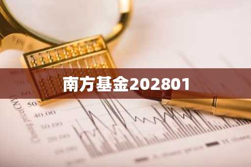 南方基金202801