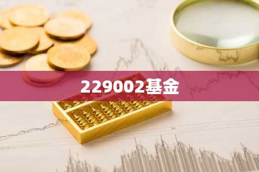 229002基金