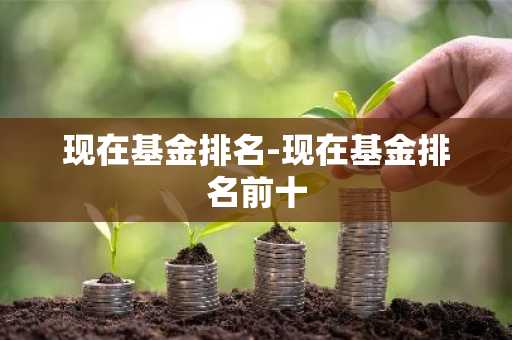 现在基金排名-现在基金排名前十