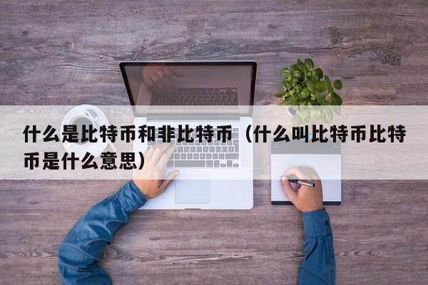 什么是比特币和非比特币(什么叫比特币比特币是什么意思)