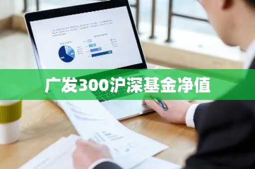 广发300沪深基金净值