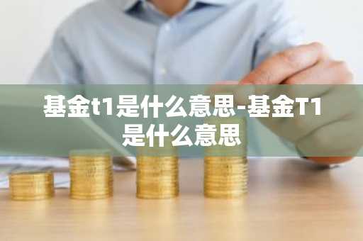 基金t1是什么意思-基金T1是什么意思