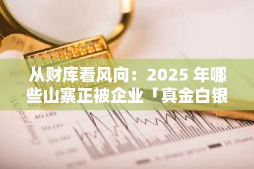 从财库看风向：2025 年哪些山寨正被企业「真金白银」买单？