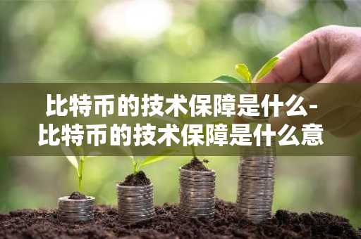 比特币的技术保障是什么-比特币的技术保障是什么意思