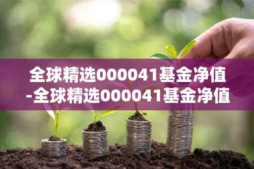 全球精选000041基金净值-全球精选000041基金净值查询