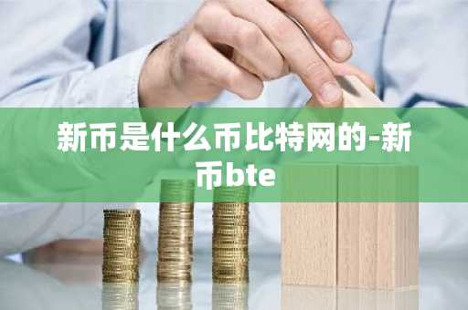 新币是什么币比特网的-新币bte