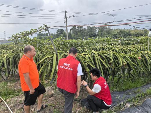 人保财险快速应对超强台风“桦加沙”