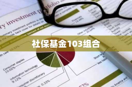 社保基金103组合