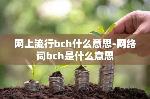 网上流行bch什么意思-网络词bch是什么意思