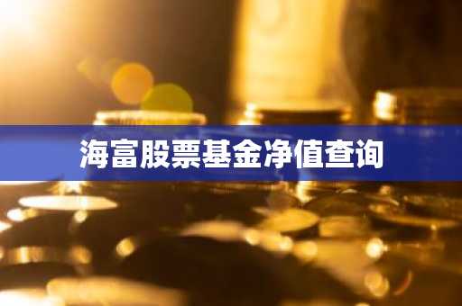 海富股票基金净值查询