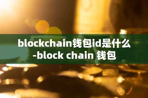 blockchain钱包id是什么-block chain 钱包