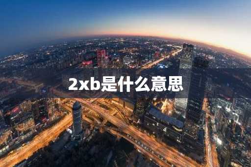 2xb是什么意思